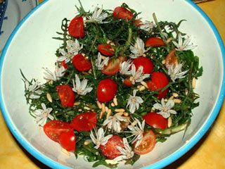 salade et fleurs d'asphodèles