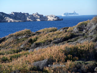 Jarre, ferry depuis marseilleveyre