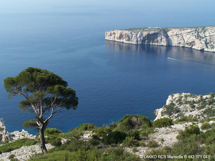 le Cap Morgiou