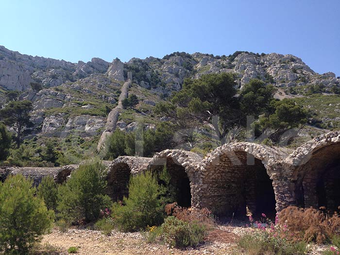 chemine rampante pollue de la Madrague dans les Calanques