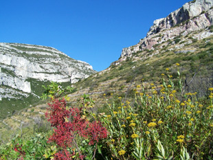 Lascours, chemin vers le Garlaban