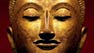 massages et yoga en Occitanie