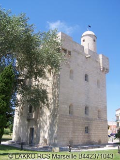 TOUR SAINT LOUIS 
