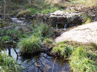 la source des Eaux Vives