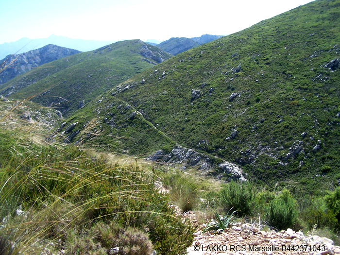 vallon de la Barasse